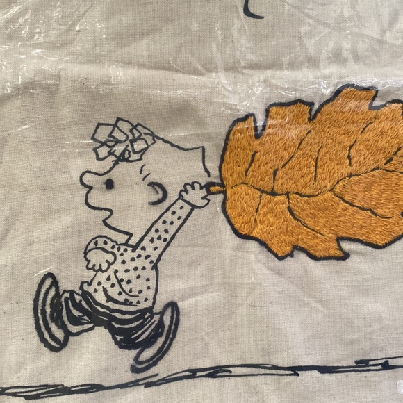 Pottery Barn Accents Pottery Barn Peanuts Sally Charlie Brown Fall